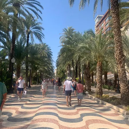 Soho Boho - With Sunny Rooftop Terrace And Fiber Optic Internet Lägenhetshotell Alicante